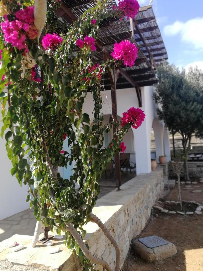 Gio St Gio Apartment 1 Antiparos St.Giorgio Exteriér fotografie